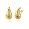 Kylie Small Drop Earrings