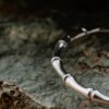 Steel Bones Handcuff - Image 3