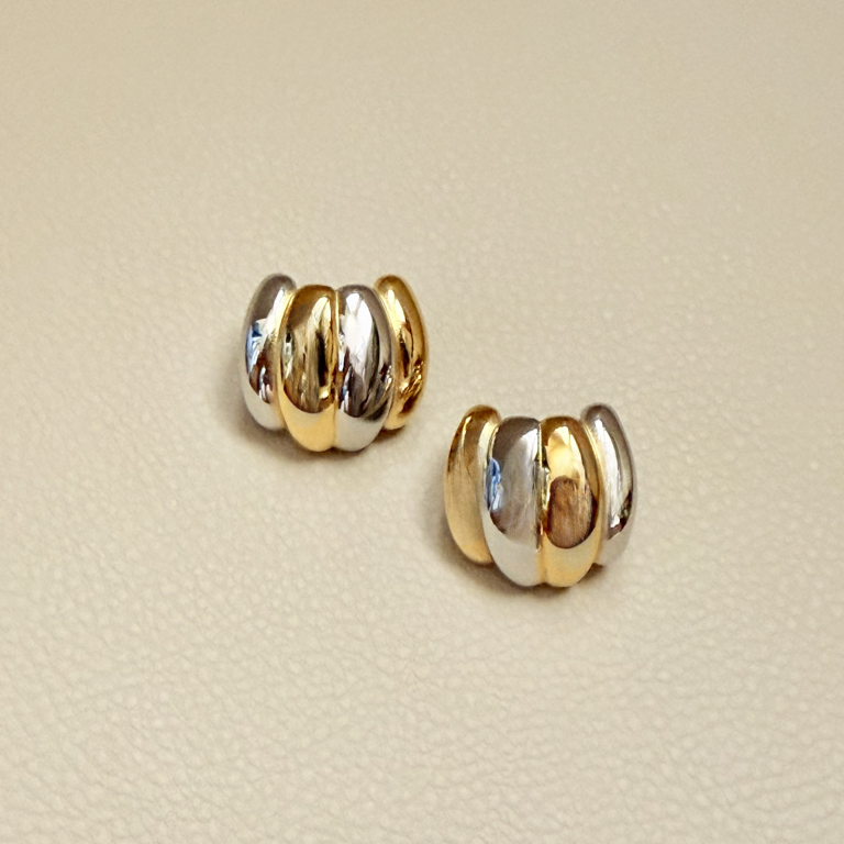 Fusion Earrings