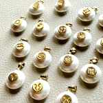 Zodiac Charms